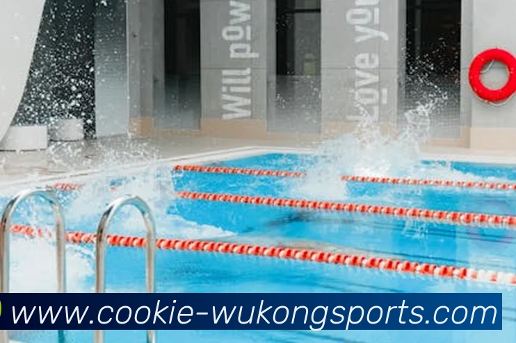 悟空体育APP 高清赛事图